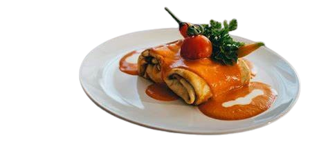 hort 2 removebg preview